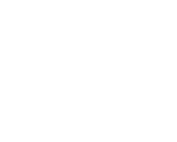 11L1 INC
